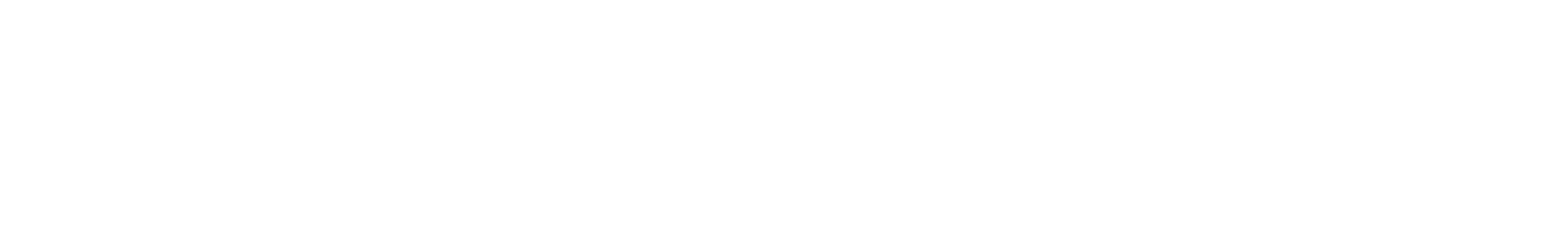 Бибизанятор